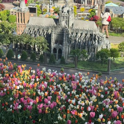 WhatsApp Image 2025-05-04 at 09.32.51_ab46cc36